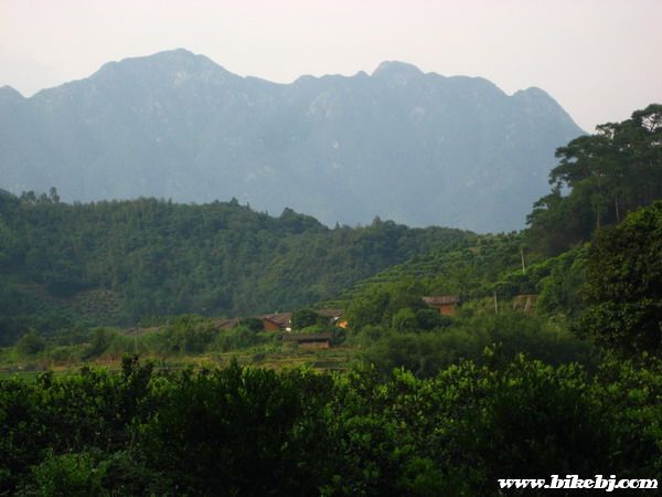 ���Ķ�����������ɽ