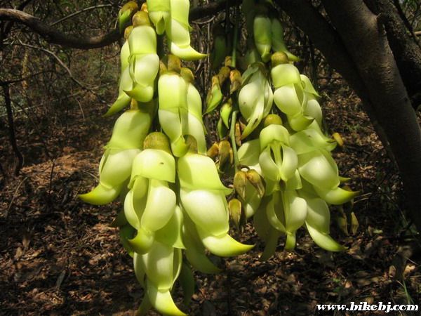 ţ�����ȸ��