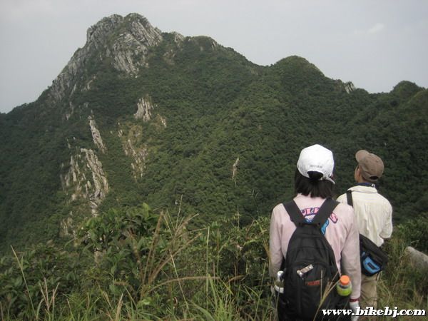 �Ƕ�����Ĺ����У���һ�λ����վ���ʯ��