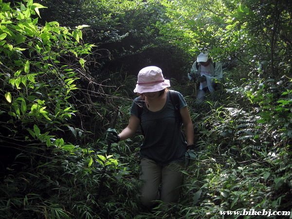 ���������ֵ�·�ϼ��ѵ�����