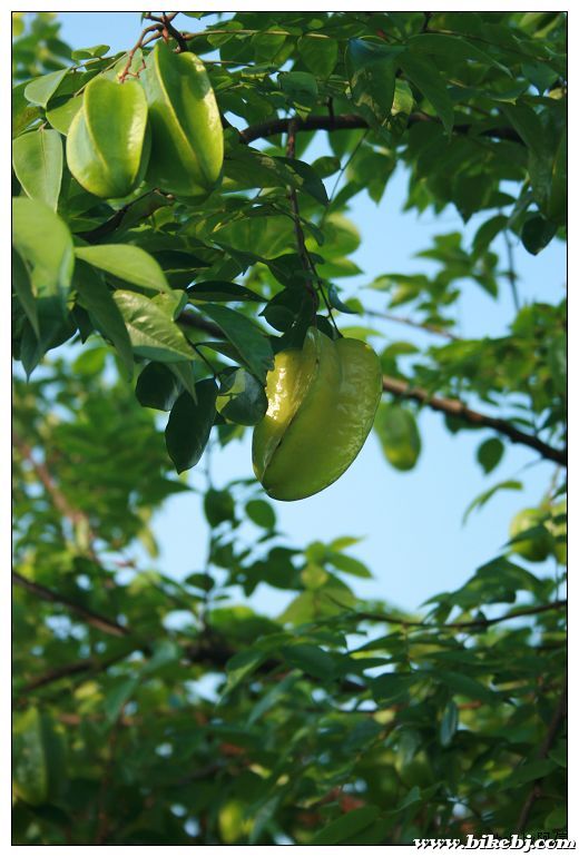 nEO_IMG_��Ƭ 029.jpg