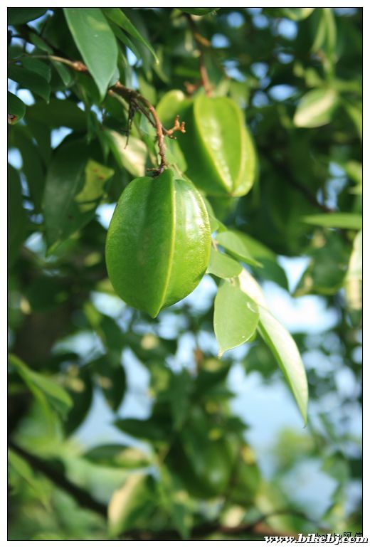 nEO_IMG_��Ƭ 032.jpg