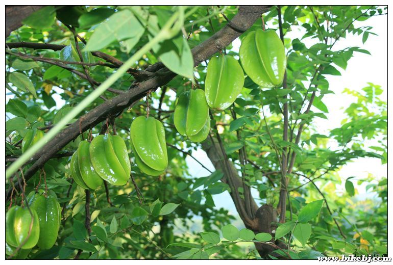 nEO_IMG_��Ƭ 033.jpg