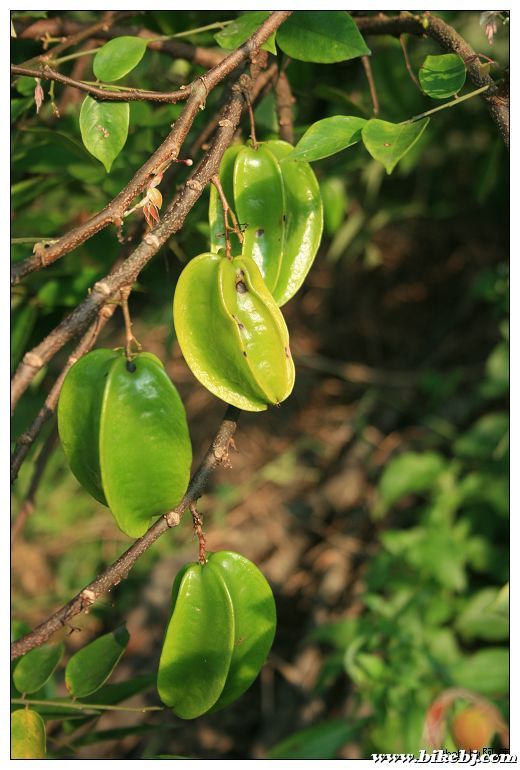 nEO_IMG_��Ƭ 038.jpg