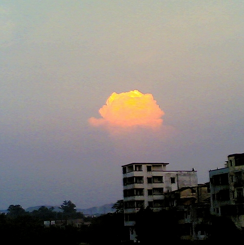 ��ɫ��Ģ��