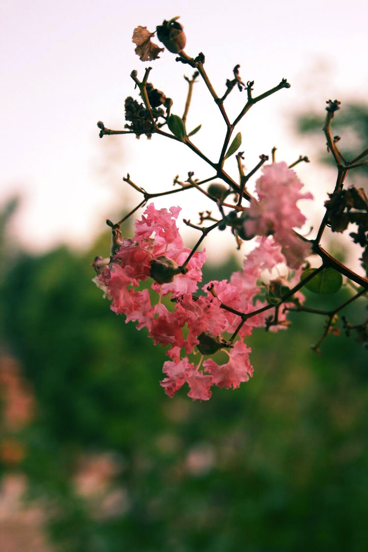 ������С ��Ƭ 093.jpg