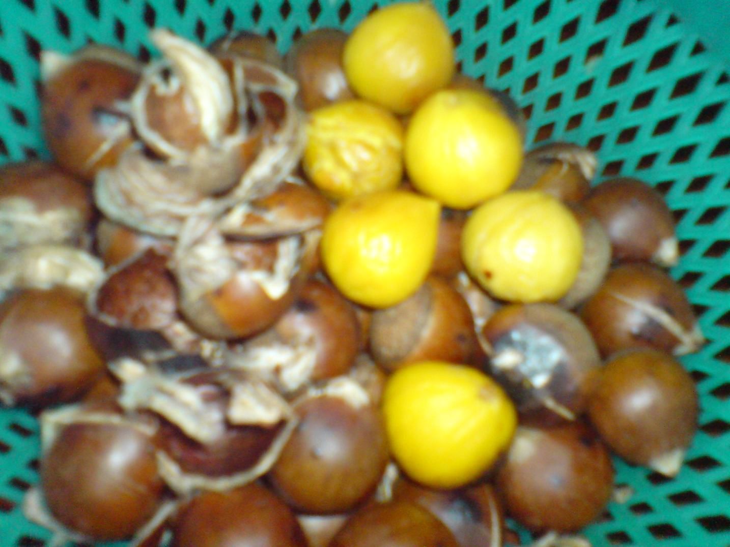 �����ѿ��ֽ�������