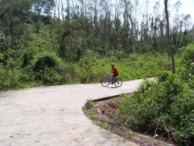 ��ʼ��ɽ������ʼ�һ���Ϊ��8Ƭһ������·ͣ�� װˮ��