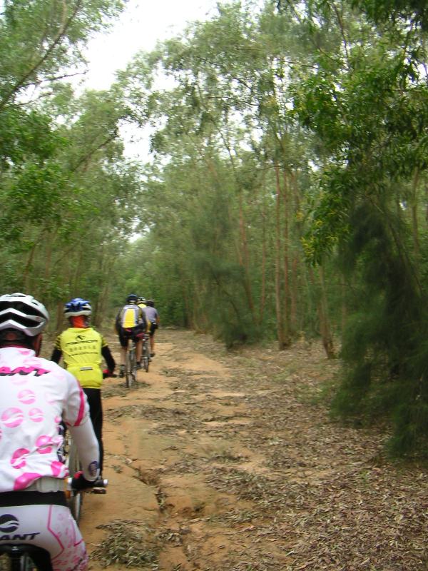 ��һ��ɽ·���������д�Խ