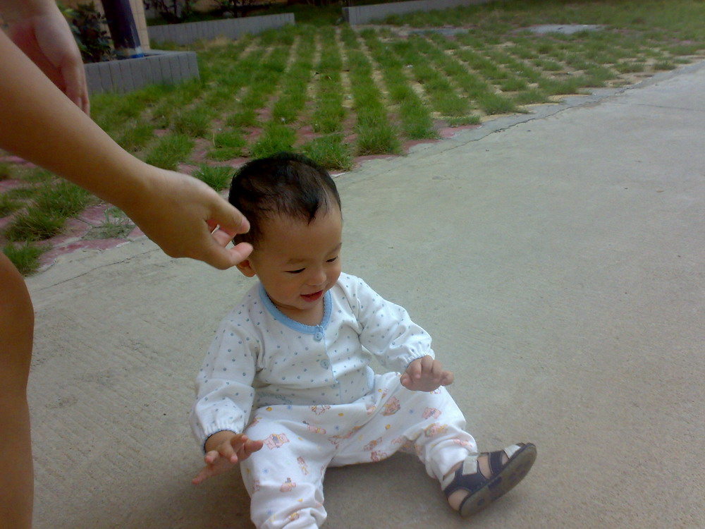 ��֤������