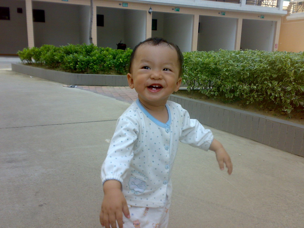 ��֤������