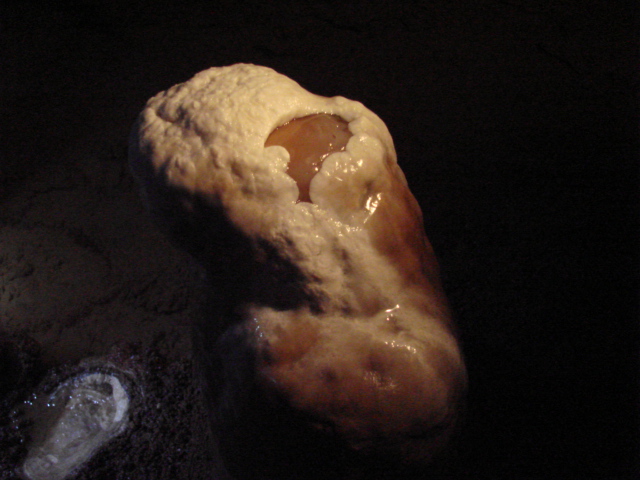 ������֬������Ʒ��Ѫʯ