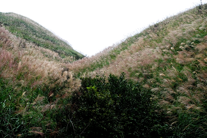 ���帽������������ëë��