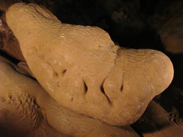 �����Ԫ��