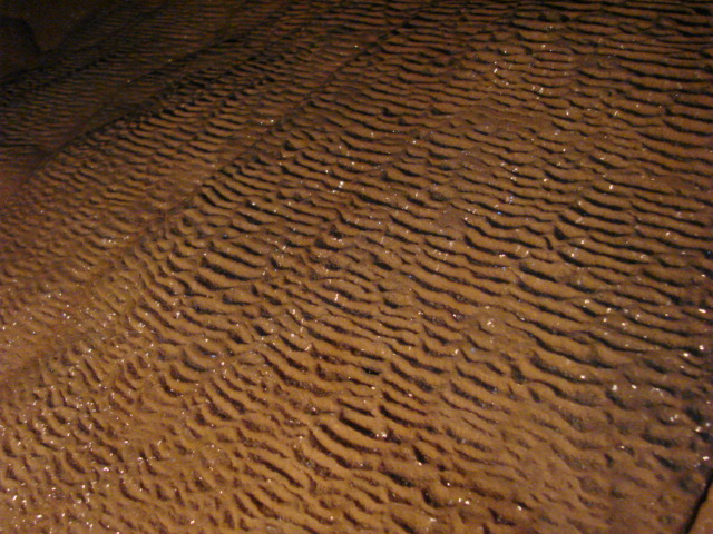 Ҳ������