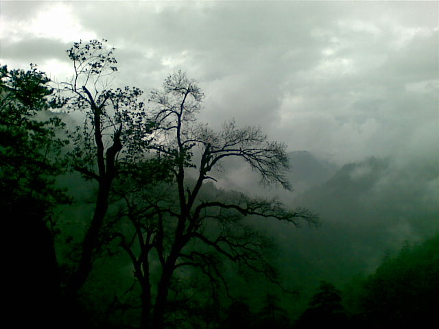 ��һ��Ĺ���.