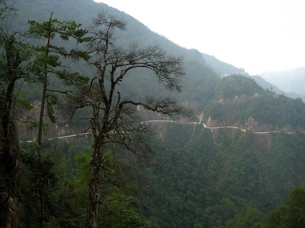 ������·