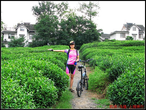 �ϵ���ɽ��������Ǵ��ᣬ����Ѿ�û���ˡ�