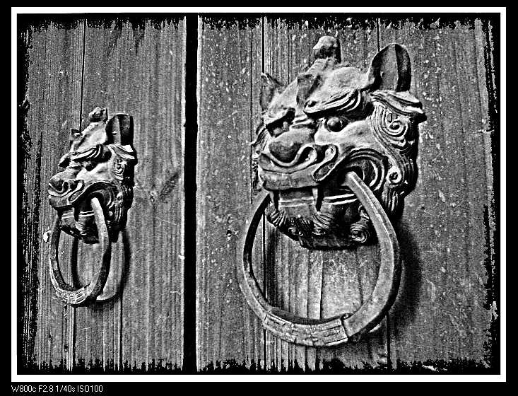 nEO_IMG_2006.11.11 (1).jpg