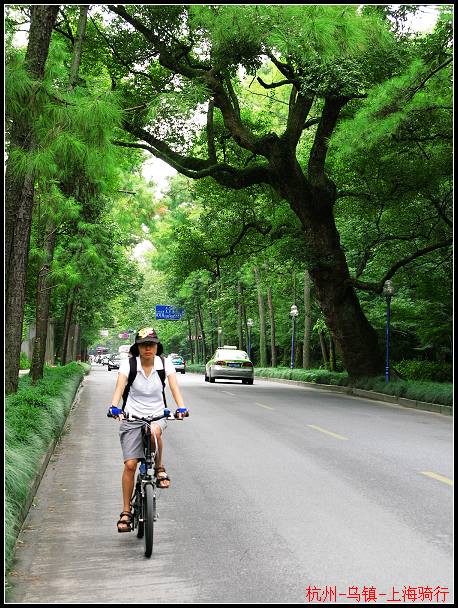 ����ȥ�����µ�·�ϣ��������Լ�������һƬ��ɫɭ��֮�С�