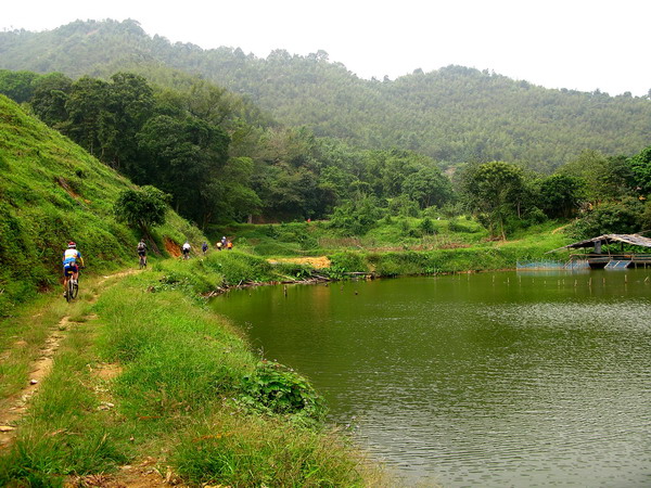 �������Ǵ�