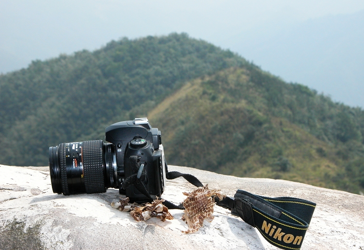 ɽ���Ҋ������Ƥ