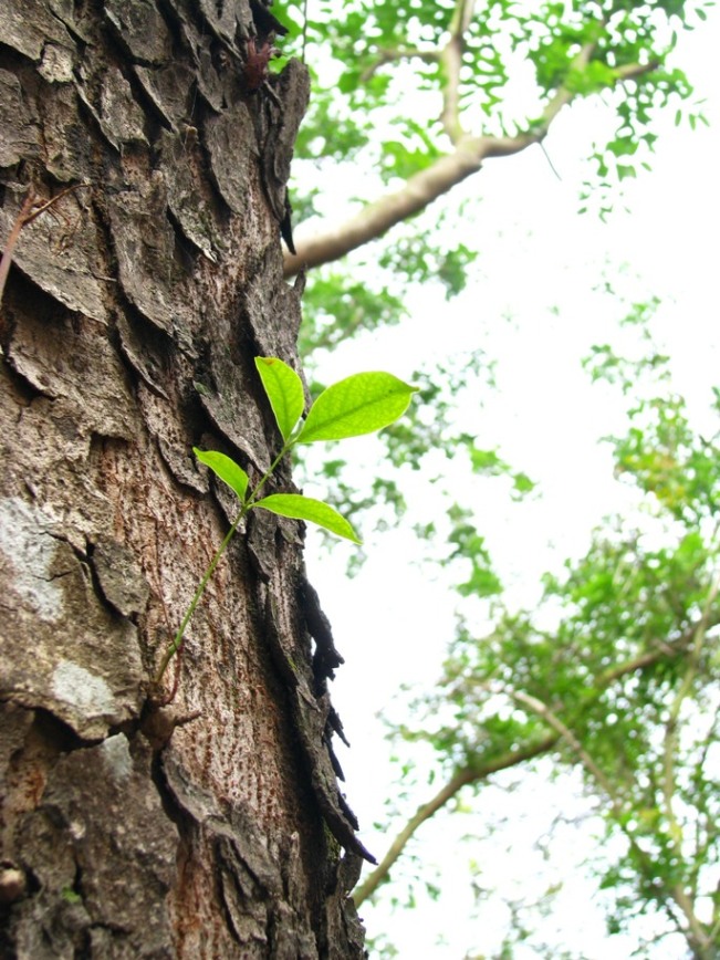 �����괺 fix.jpg