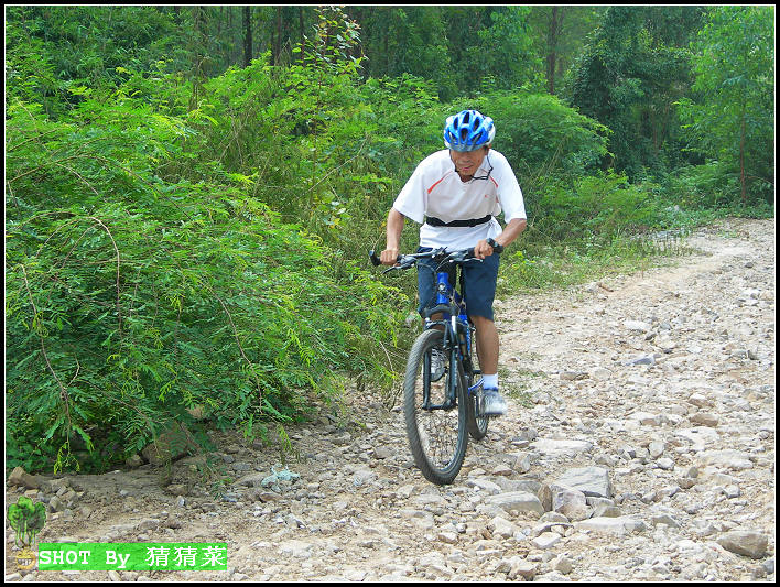 �۲������ŵ�ͭǮ