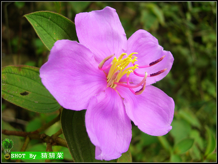 ��·�ȽϿ����ҿ��Դ��ݵ�΢�������Ķ�֮��