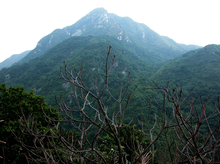 Ρ����ʱ�¥��