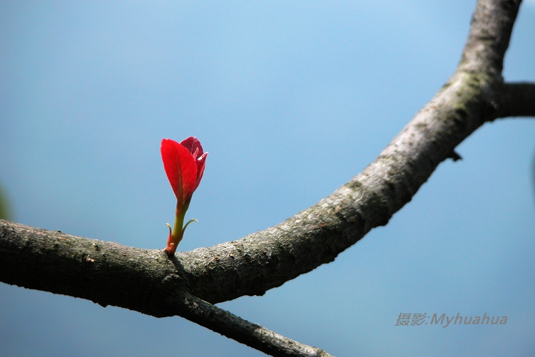 ������Զ����ɽ����������ԽԶ���黯Ч��Խ��