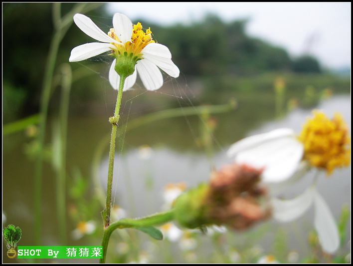 һ������