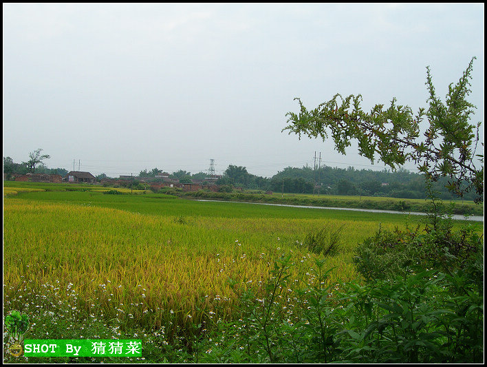 ·�ߵ�С�׵㣬����ͣ����פ�����ͣ�