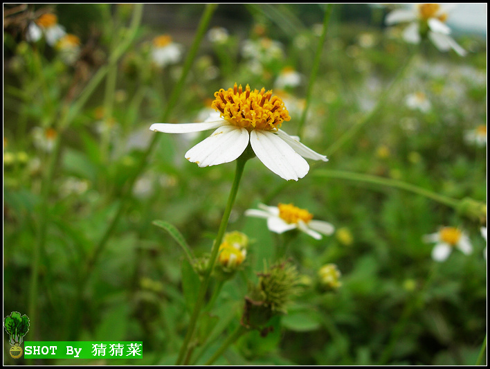 �˵���գ��յ�������