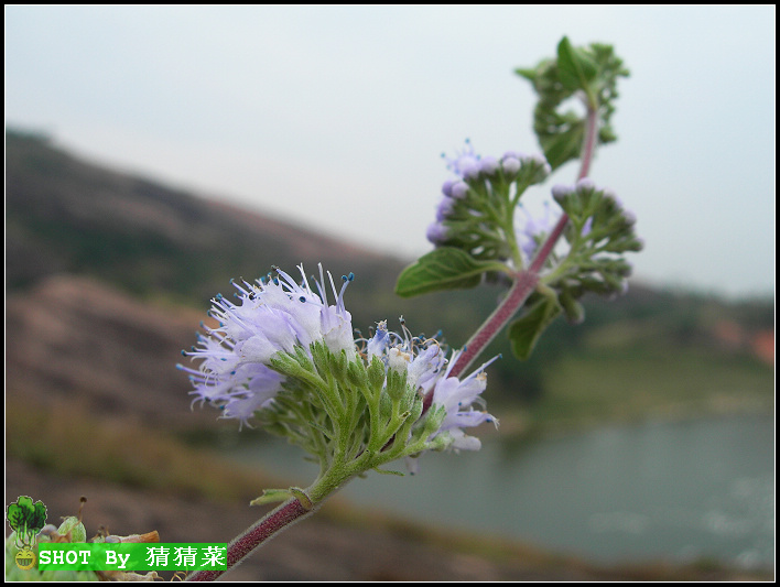 û�л��㣬û������