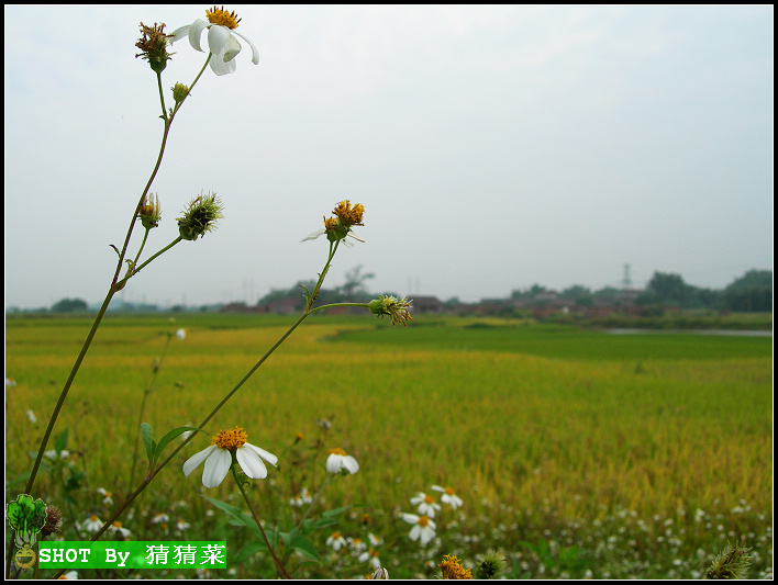 ��������˵���꣬��ȡ����һƬ�����е�ȷ����������ġ�