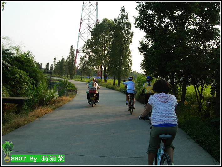 ż���׸�ս��