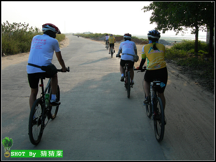 ���ڵ���