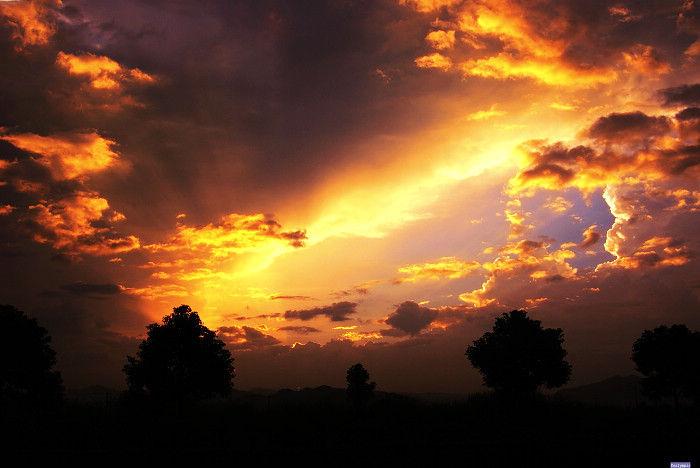 ������;����