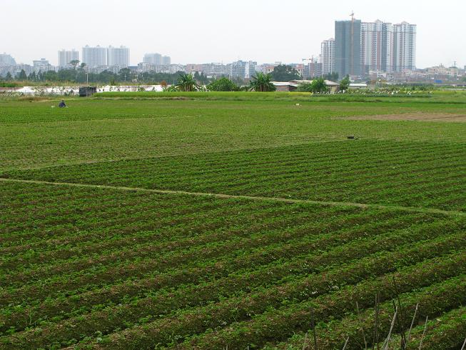 ��ϣ������Ұ��