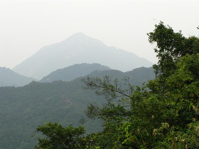 ����ü��ң������ɽ