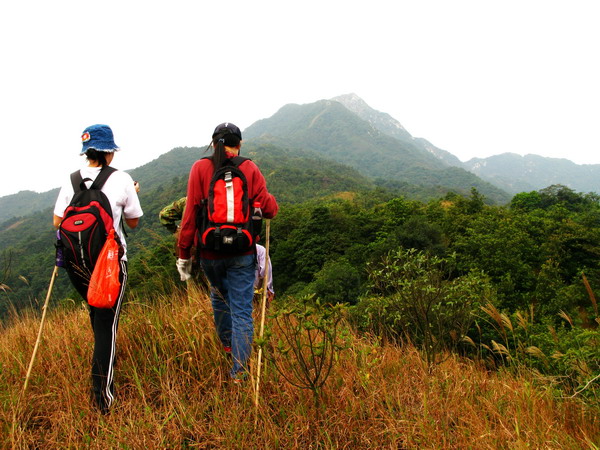 ���ǿ������վ��ı�¥���۷�