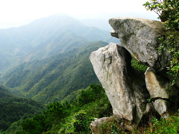 �վ�������