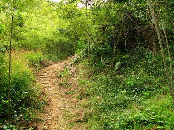 �����·�����У�ȫ�̽�Ϊ����ɽ·���ǳ����ԡ�