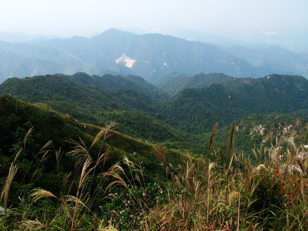 Զ������԰�����Ⱥɽ