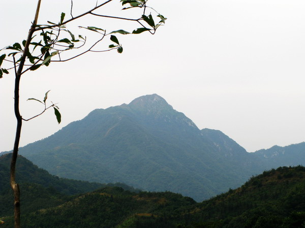 Ρ����ʵı�¥��Զ��