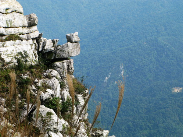 �վ�������