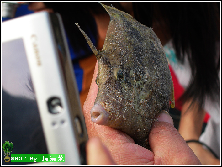 ��˵���Ķ��Ǻö���������