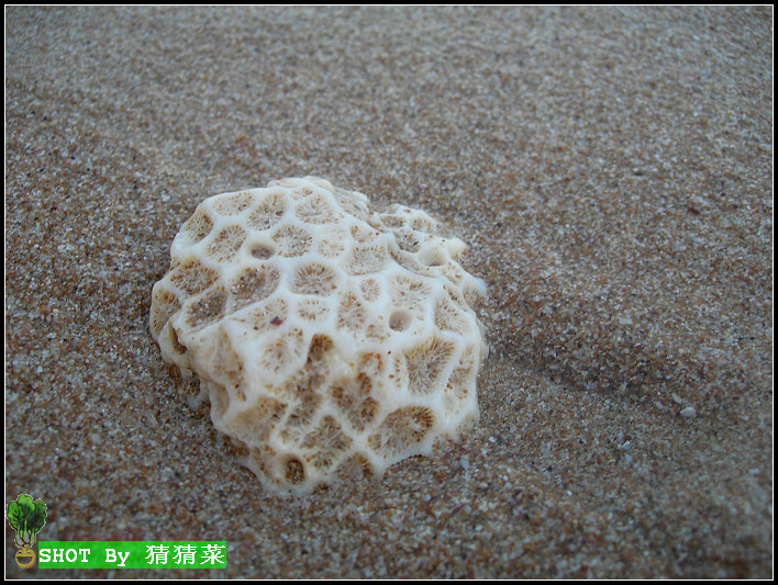 ���ϰ���ɺ��