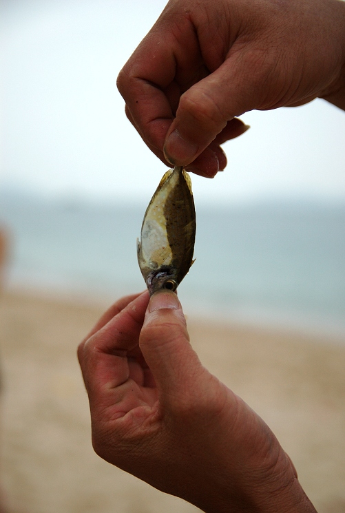 ���°�ʮ�����������